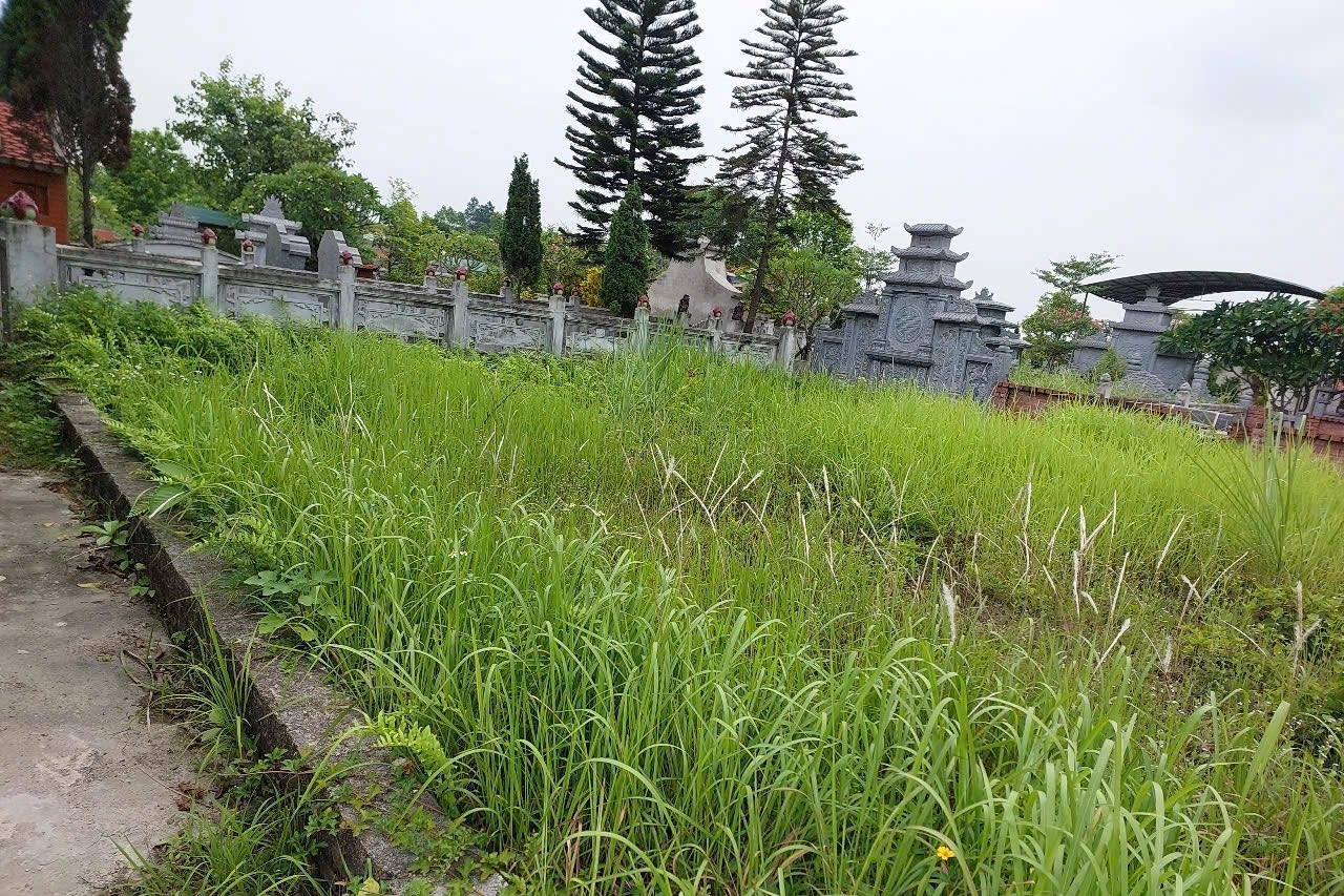 Hà Nội: Giao hơn 380.000m2 đất mở rộng công viên nghĩa trang Vĩnh Hằng