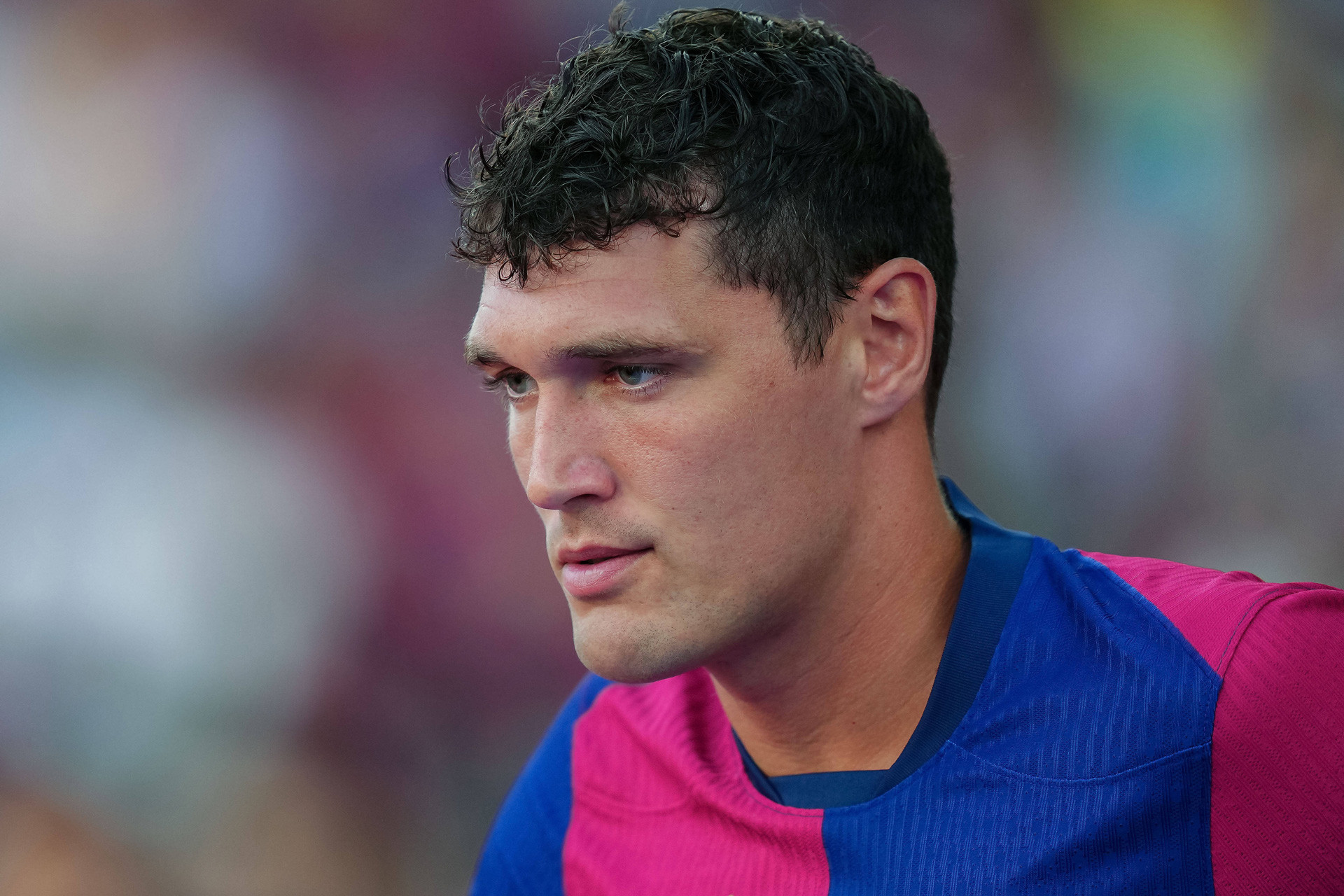 Imago - Christensen.jpg