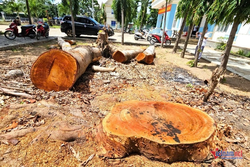 W-Chuyển cơ quan điều tra 1.jpg