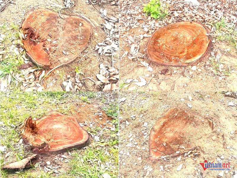 W-Chuyển cơ quan điều tra 2.jpg