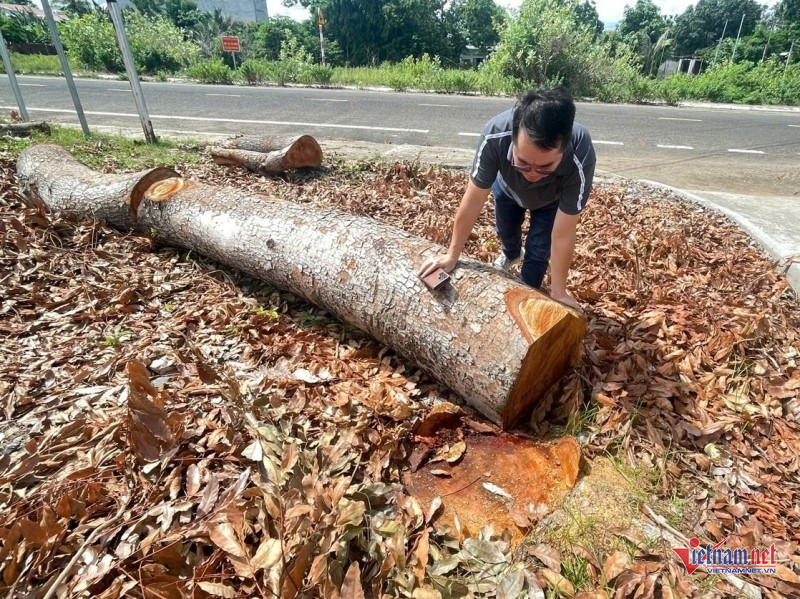 W-Chuyển cơ quan điều tra 3.jpg