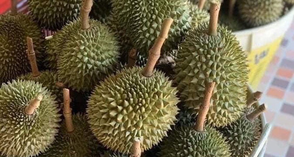 Xuất khẩu sầu riêng lao dốc, hàng nhập khẩu lại tăng tới hơn 500%