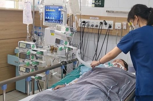 Bản tin trưa 26/6: Người phụ nữ bán thuốc nam chứa lá ngón khiến khách tử vong