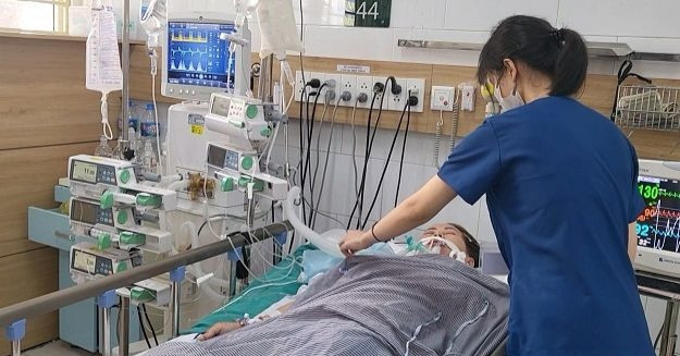 Bản tin trưa 26/6: Người phụ nữ bán thuốc nam chứa lá ngón khiến khách tử vong