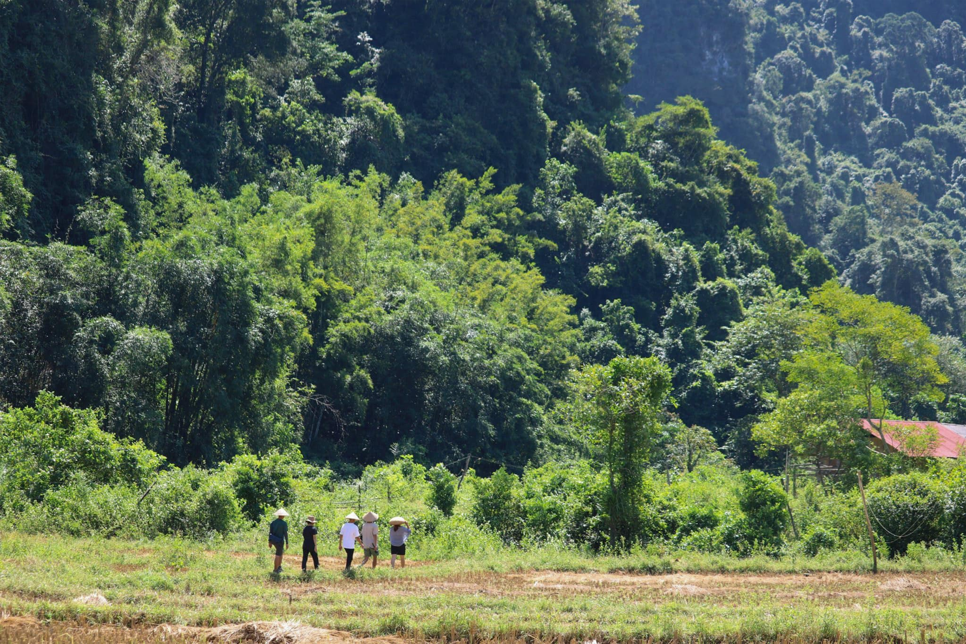 bản Lân Đặt Le Thanh Hien 1.png