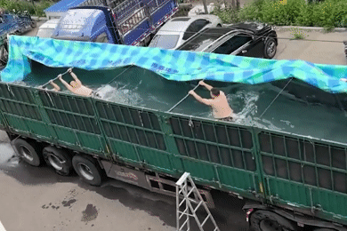 Cách giải nhiệt 'bá đạo' của các tài xế trên thùng container