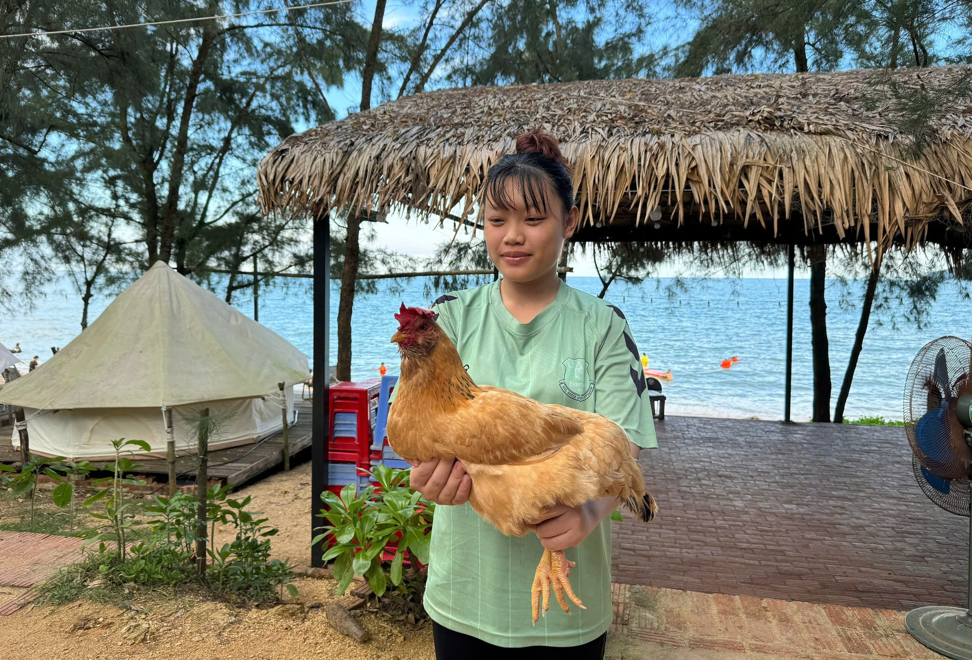 Đặc sản ‘gà mọc râu’ trên đảo hoang sơ ở Quảng Ninh, da vàng giòn, thịt thơm nức