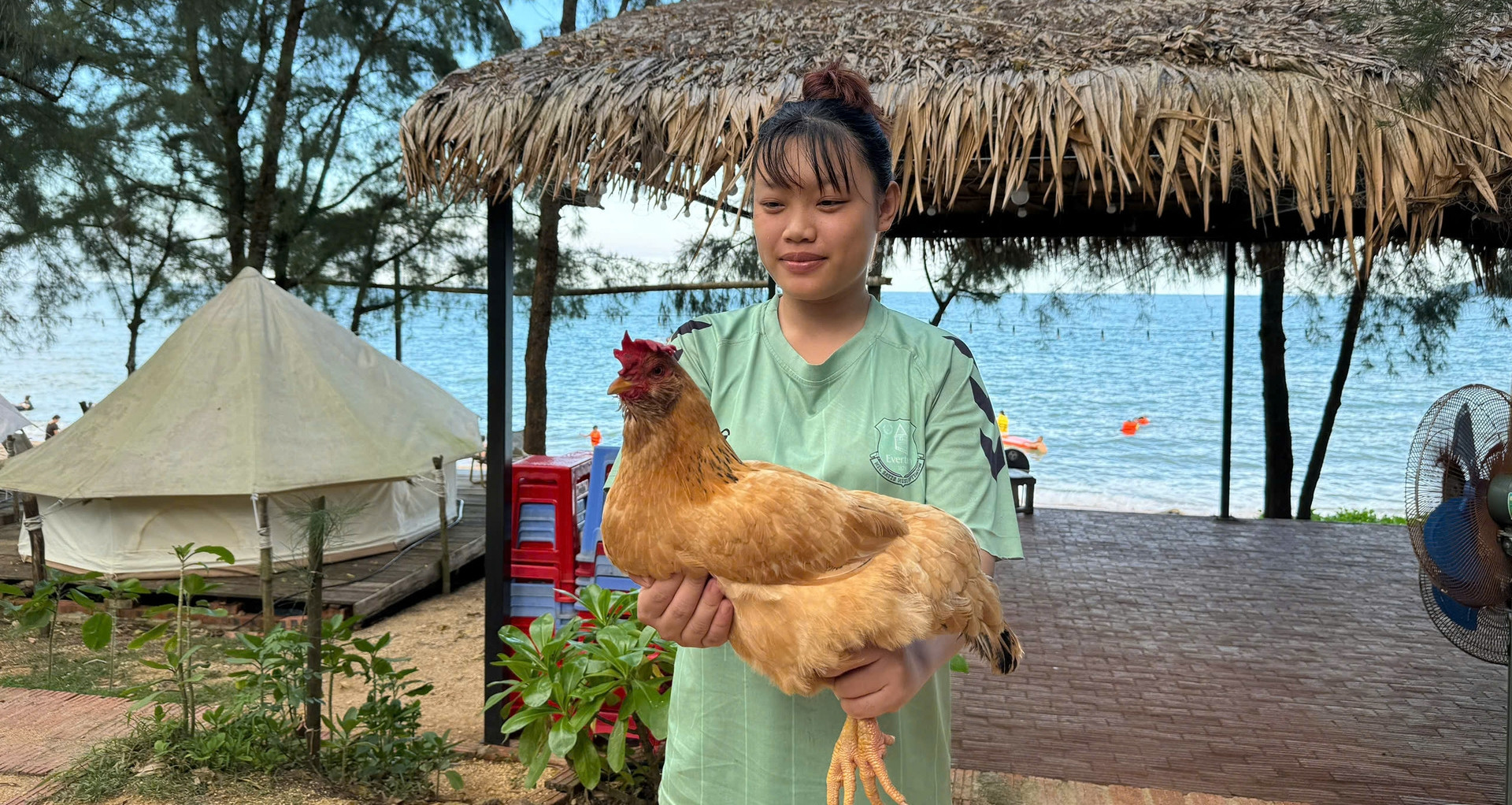 Đặc sản ‘gà mọc râu’ trên đảo hoang sơ ở Quảng Ninh, da vàng giòn, thịt thơm nức