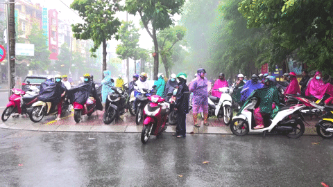 Phụ huynh, tình nguyện viên dầm cả trận mưa đợi thí sinh thi tốt nghiệp THPT