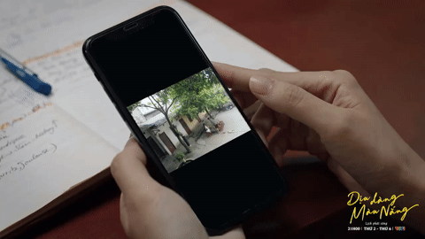 Dịu dàng màu nắng 18