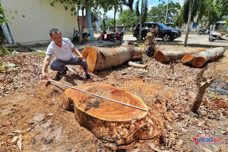 W-Bán đấu giá tài sản công 3.jpg