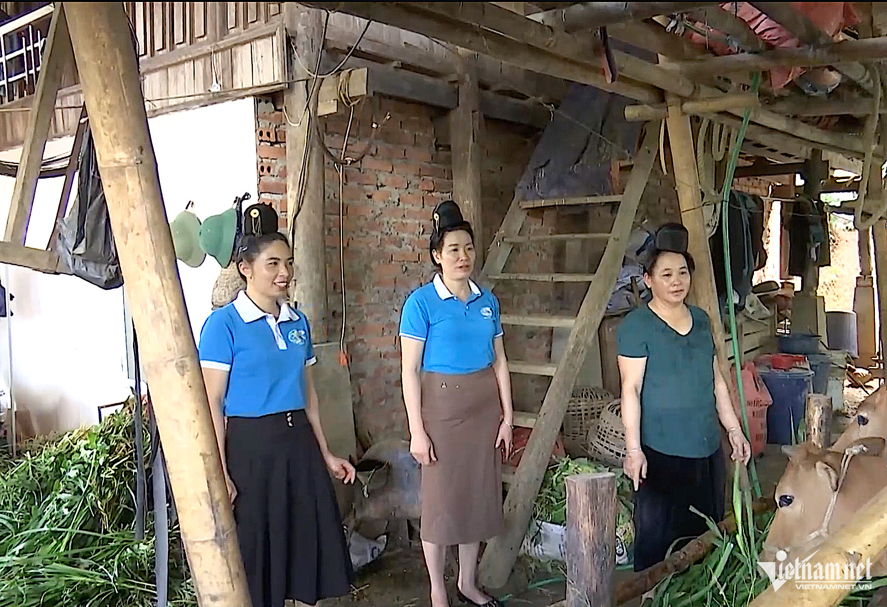 W-minhhoa.png