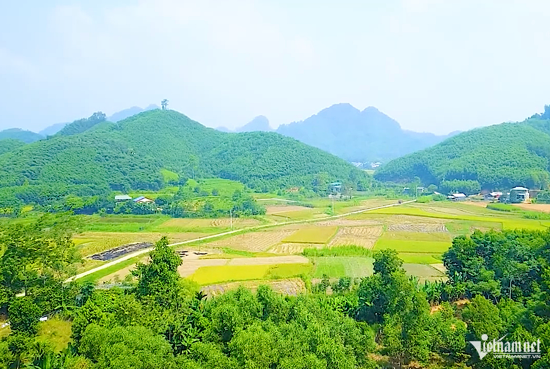 W-minhhoa.png