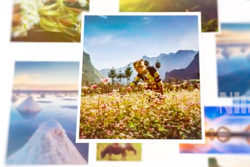 Ảnh vi phạm thuần phong mỹ tục sẽ bị loại