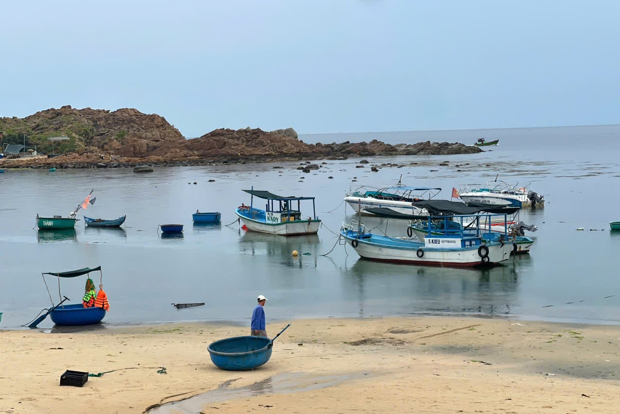 Bà Rịa - Vũng Tàu: Ứng dụng công nghệ cao trong nuôi trồng thủy sản