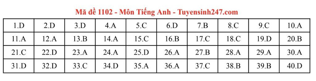 TA 02.jpg