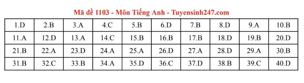 TA 03.jpg