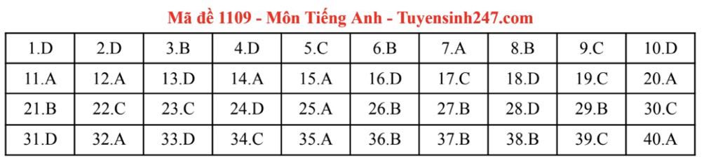 TA 09.jpg