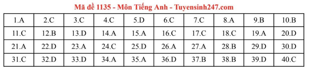 TA 35.jpg