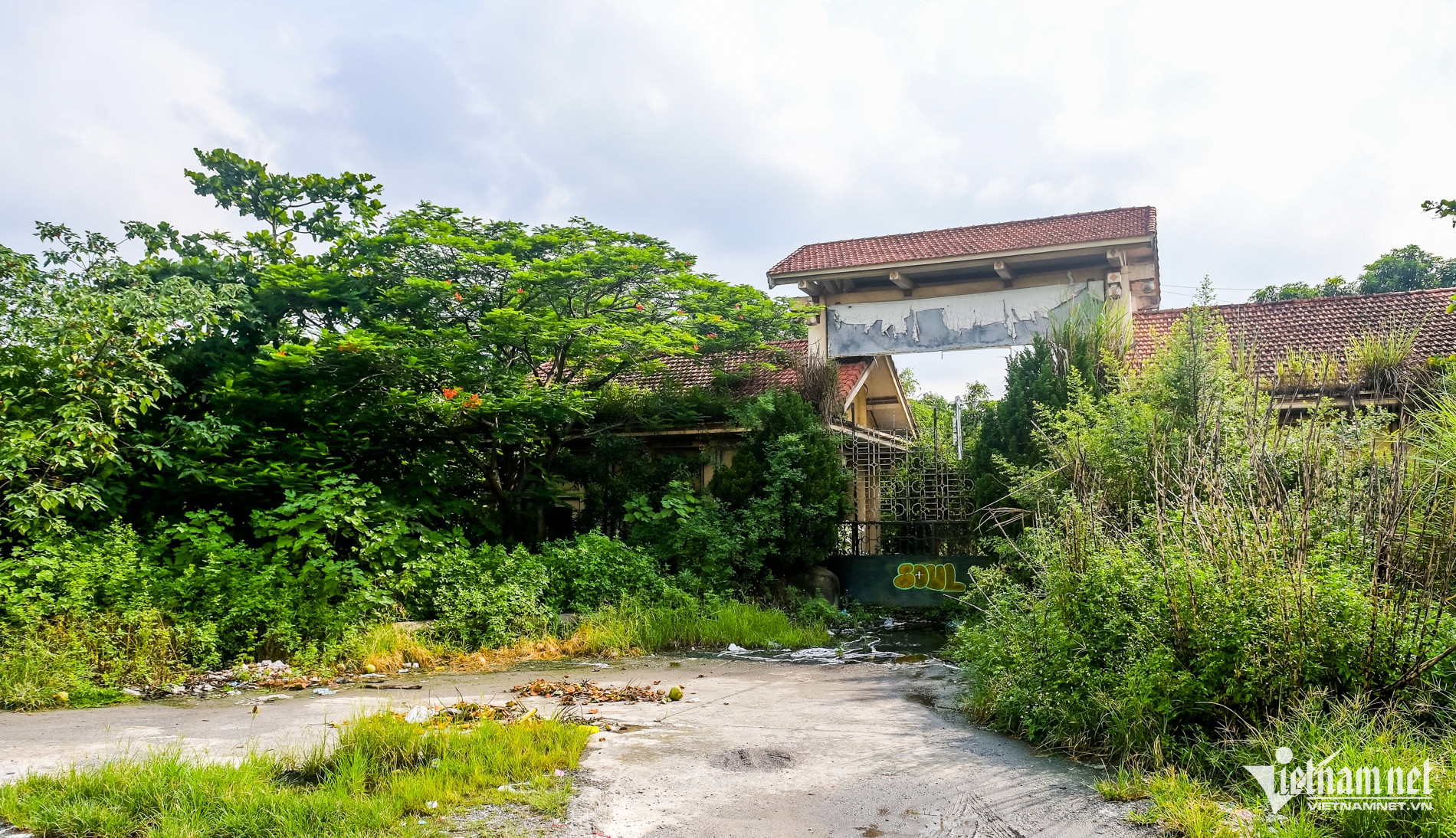 W-Hà hoa tiên_12.jpg