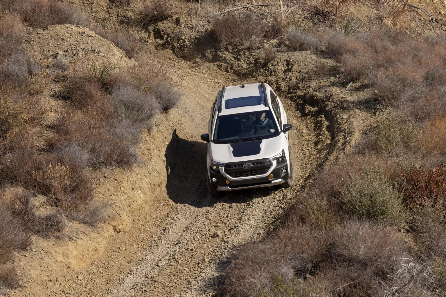 2026_Subaru_Forester3.webp
