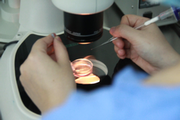 Sai lầm gây hậu quả nghiêm trọng khi tắm bồn nước nóng mùa đông Mò tìm vài con tinh trùng còn sót lại giúp người đàn ông trẻ được làm cha