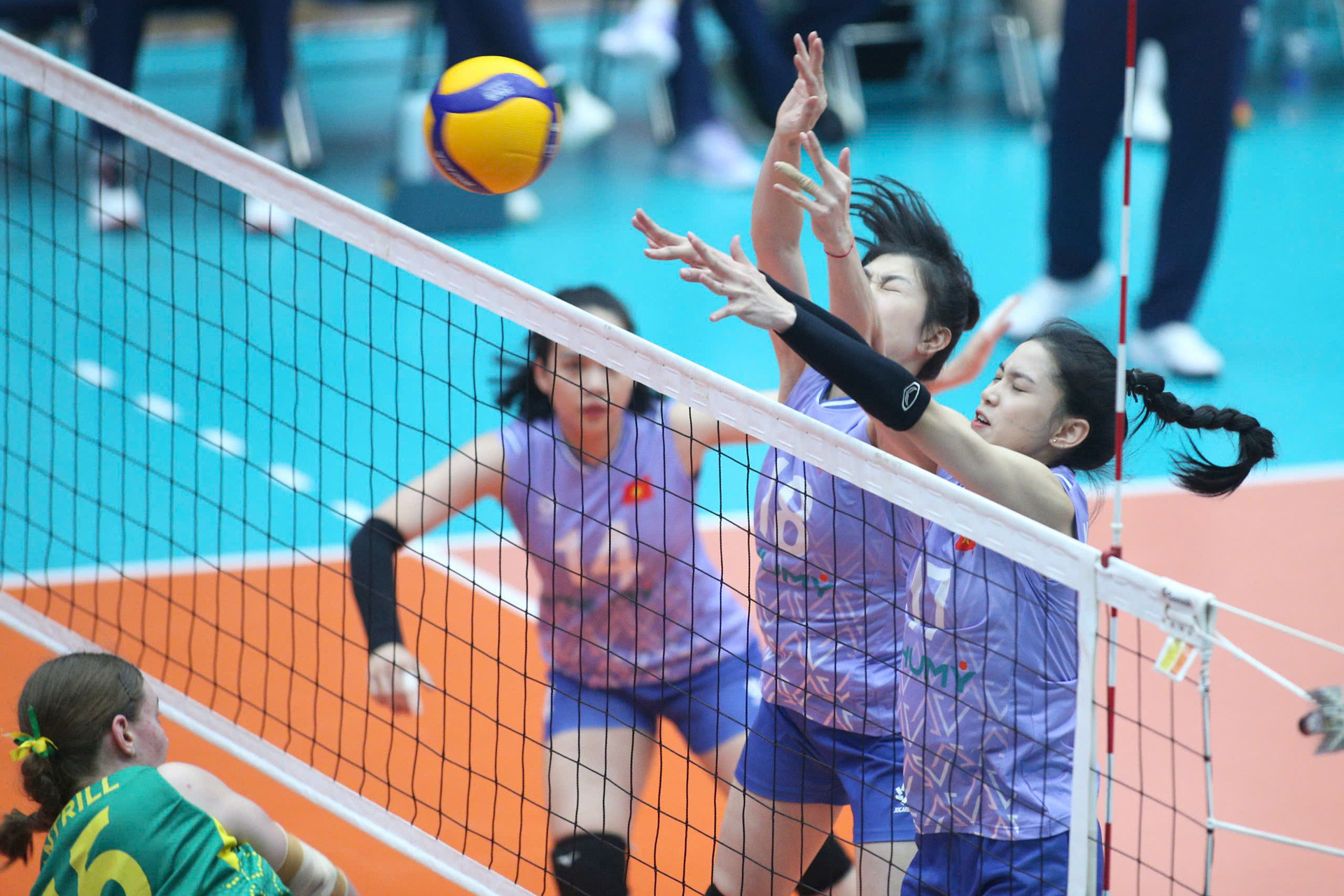 Viet Nam Australia 2.jpg