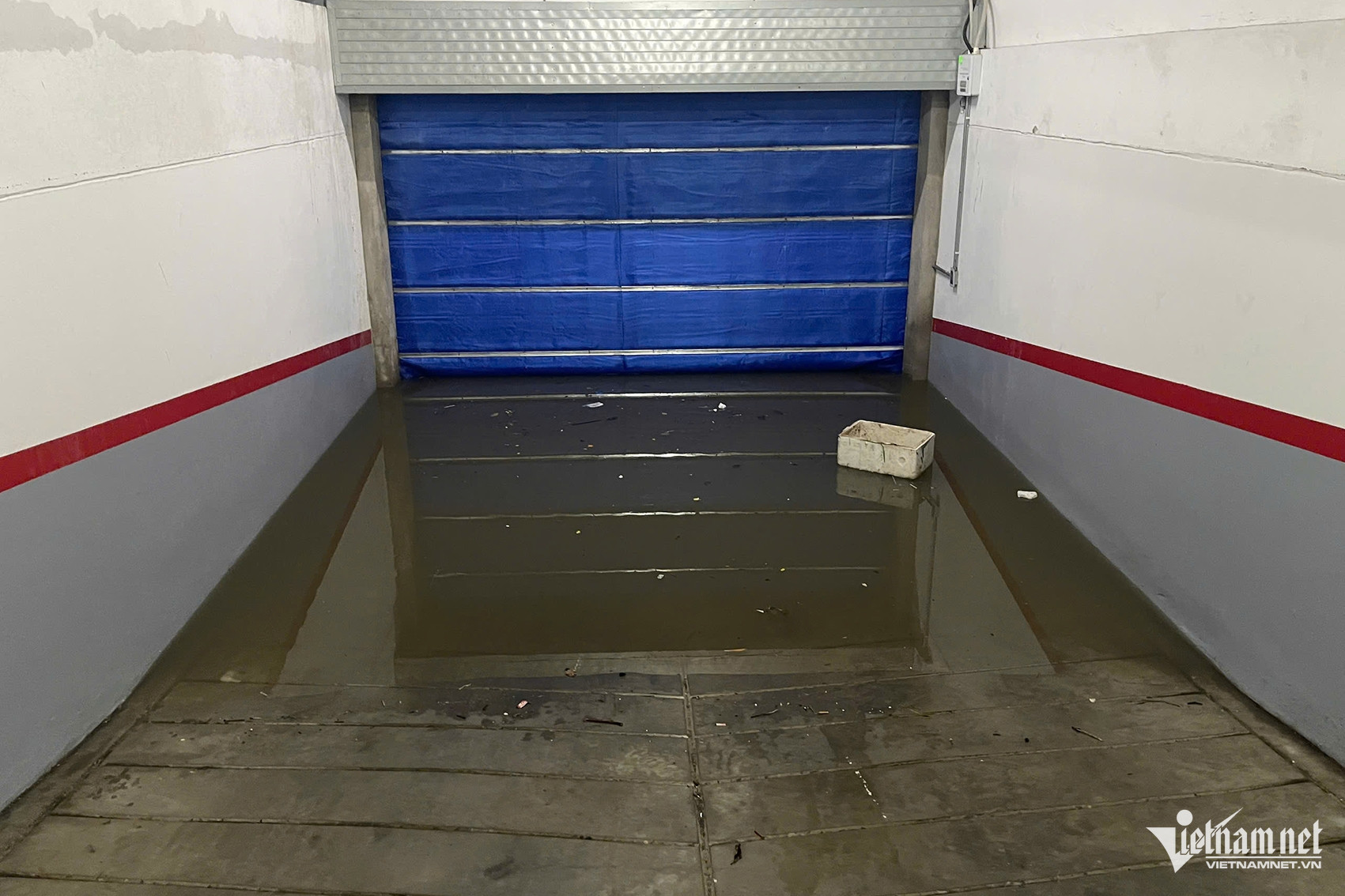 W-09bb68ae 3cda 49fd be33 862828539af4.jpeg