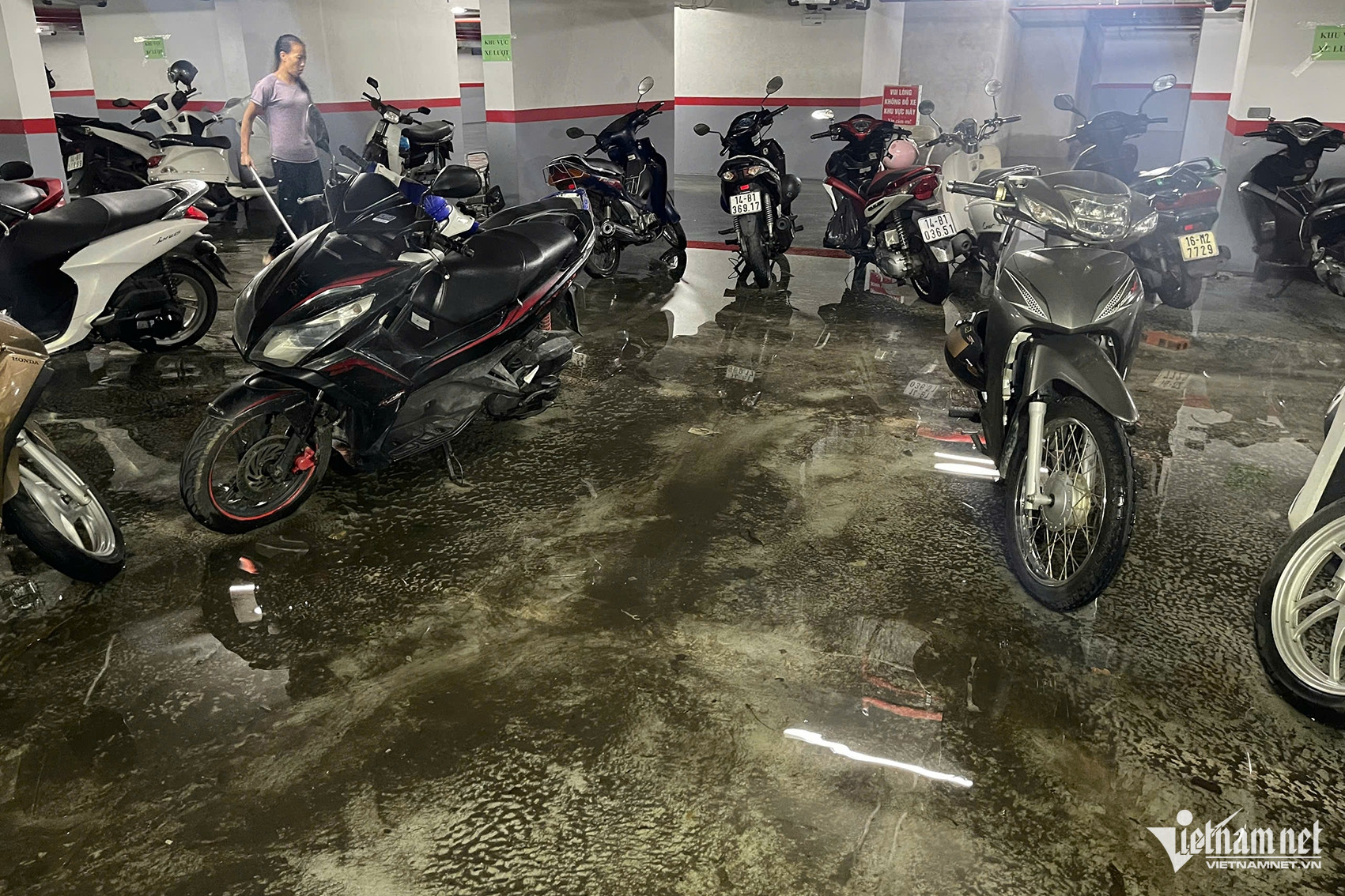 W-808fc46d 0fc9 4419 8999 2a1e9e1ee322.jpeg