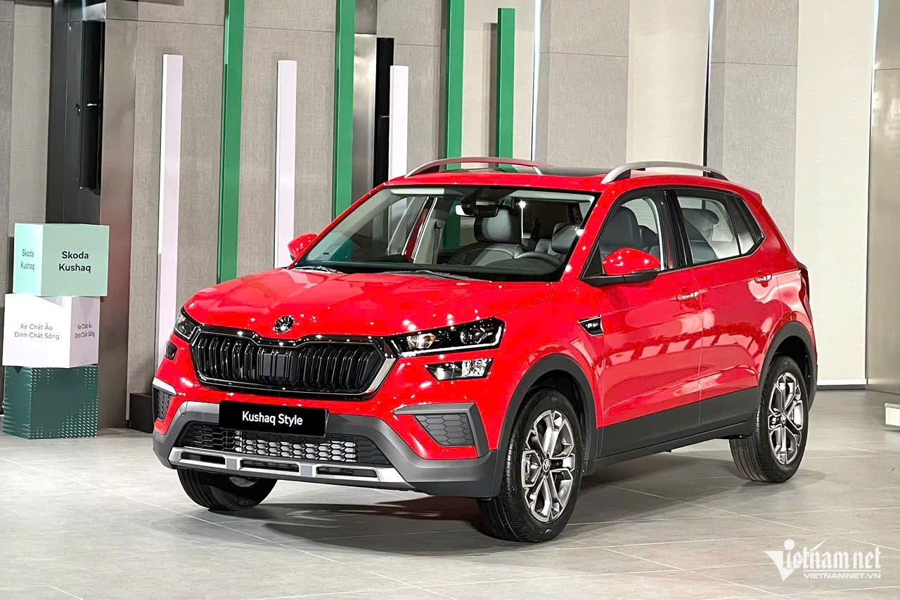 W-Skoda Kushaq 1.jpg