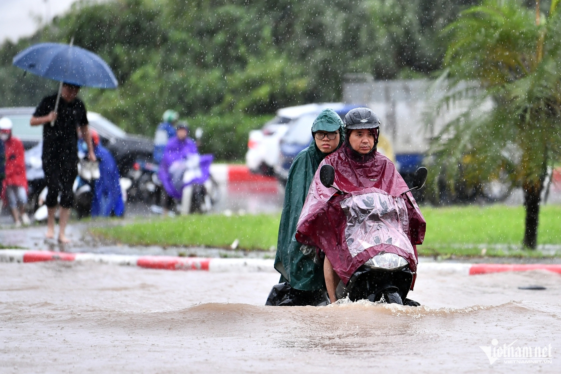 Dự báo thời tiết 30/6/2025: Mưa lớn như trút nước ở miền Bắc khi nào kết thúc?