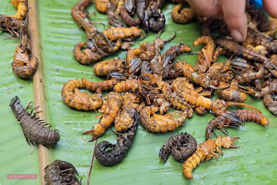 3 món ăn khiến khách 'sợ xanh mặt' nhưng nổi tiếng ngon lạ ở miền Bắc