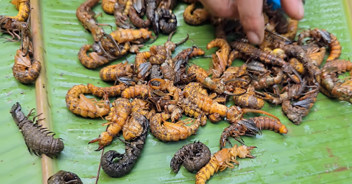 3 món ăn khiến khách 'sợ xanh mặt' nhưng nổi tiếng ngon lạ ở miền Bắc