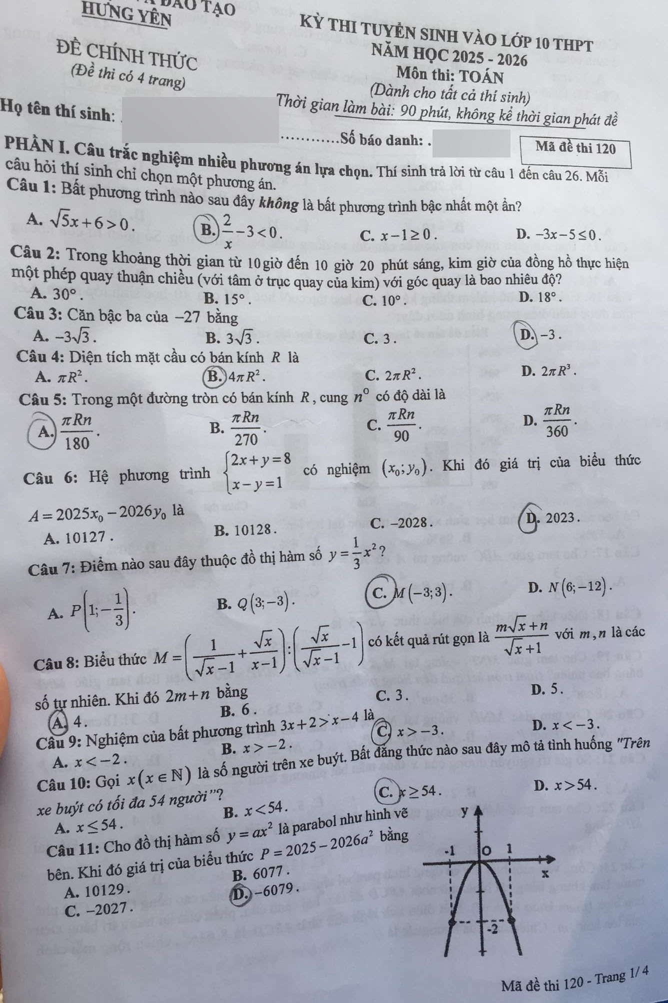 503593812_1027182536233209_1412347836621051760_n.jpg