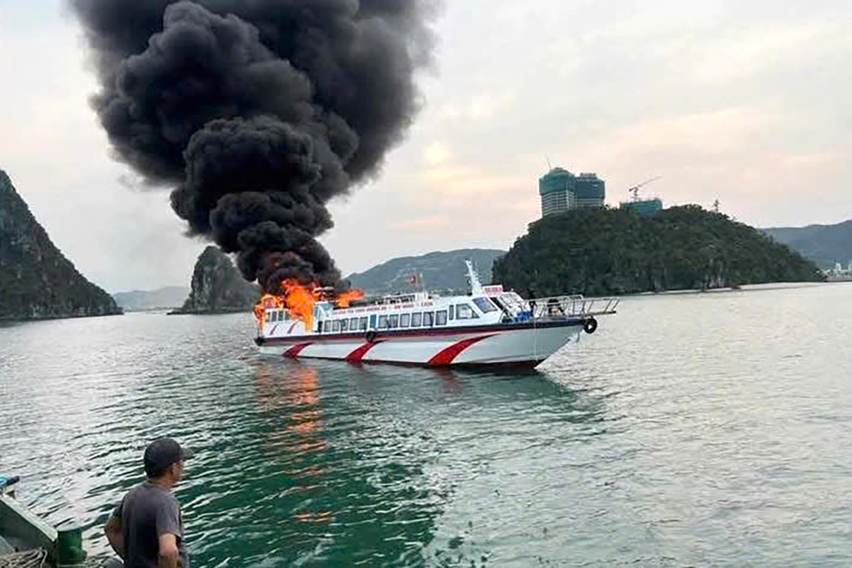 6277a5a0 2f72 43a4 ad7b b9037424d950.jpeg