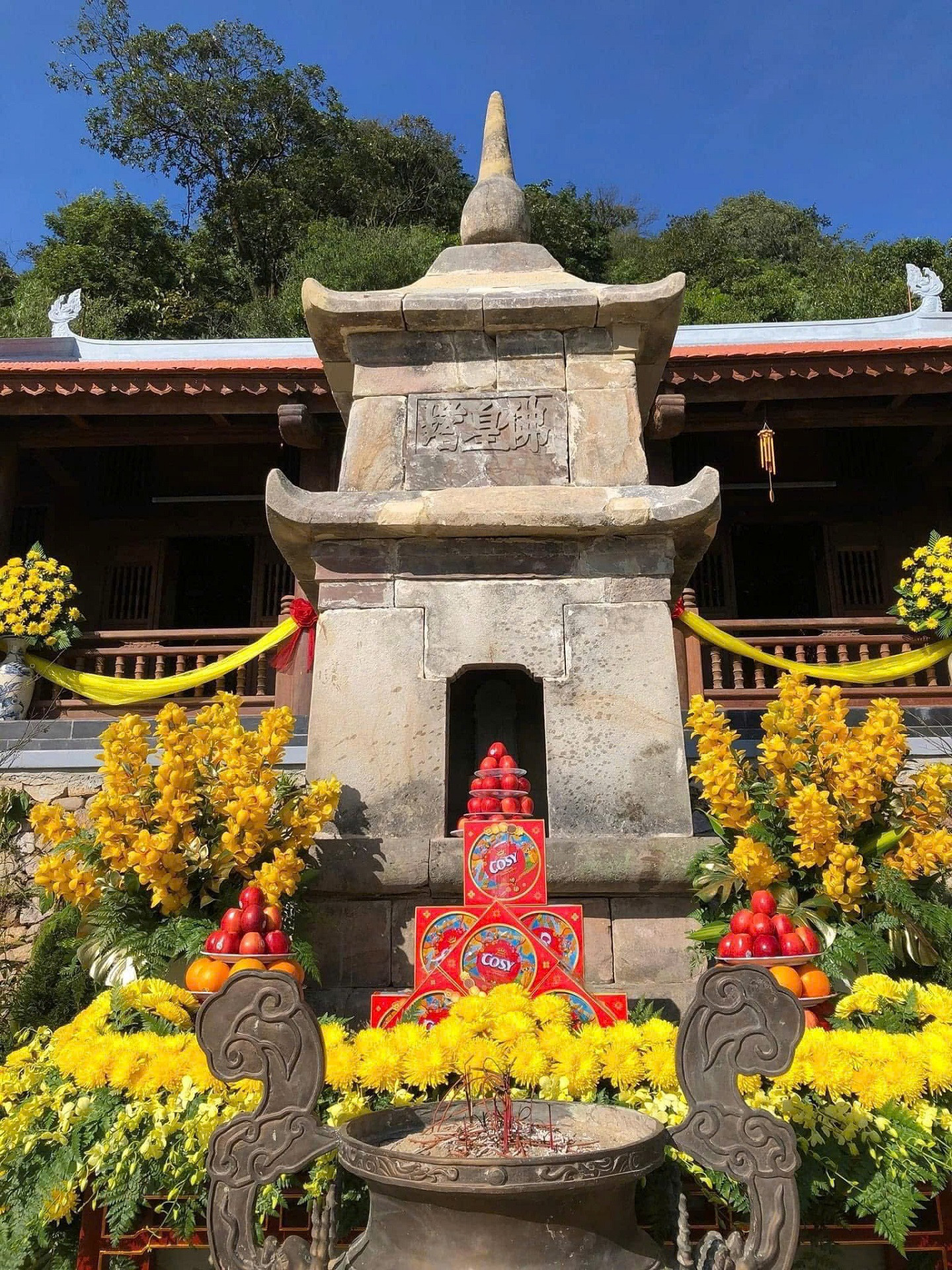 Anh 12 Thap Phat hoang.jpg