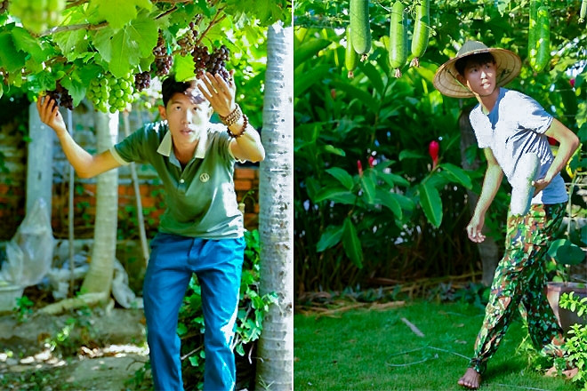 Chàng trai Ninh Thuận biến khu vườn xơ xác thành chốn thư giãn, đẹp như mơ