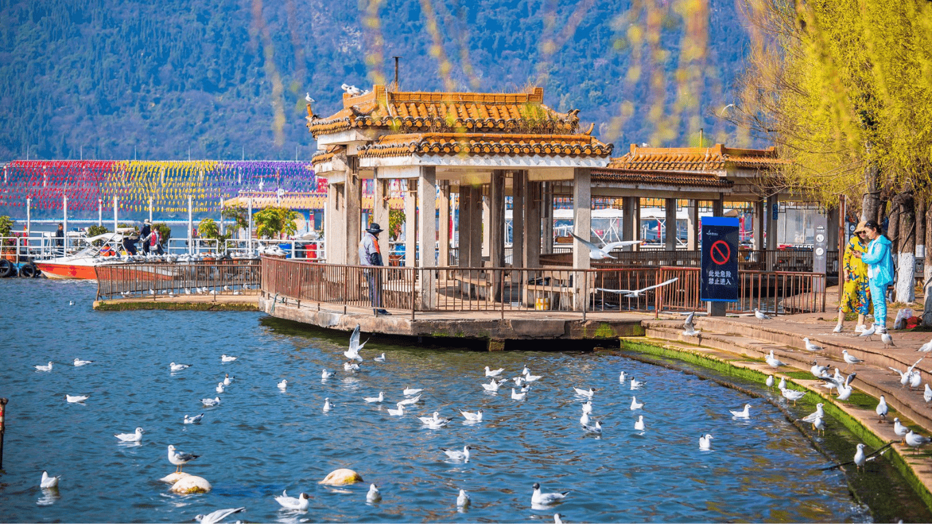 con minh chim hai au ho dien tri 5 min.png