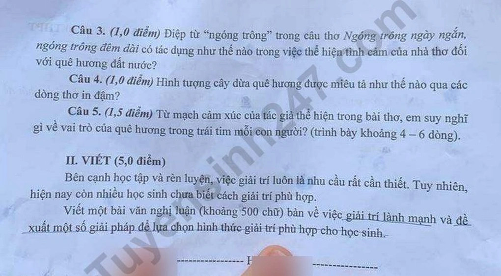 DĐề an Giang 2.webp