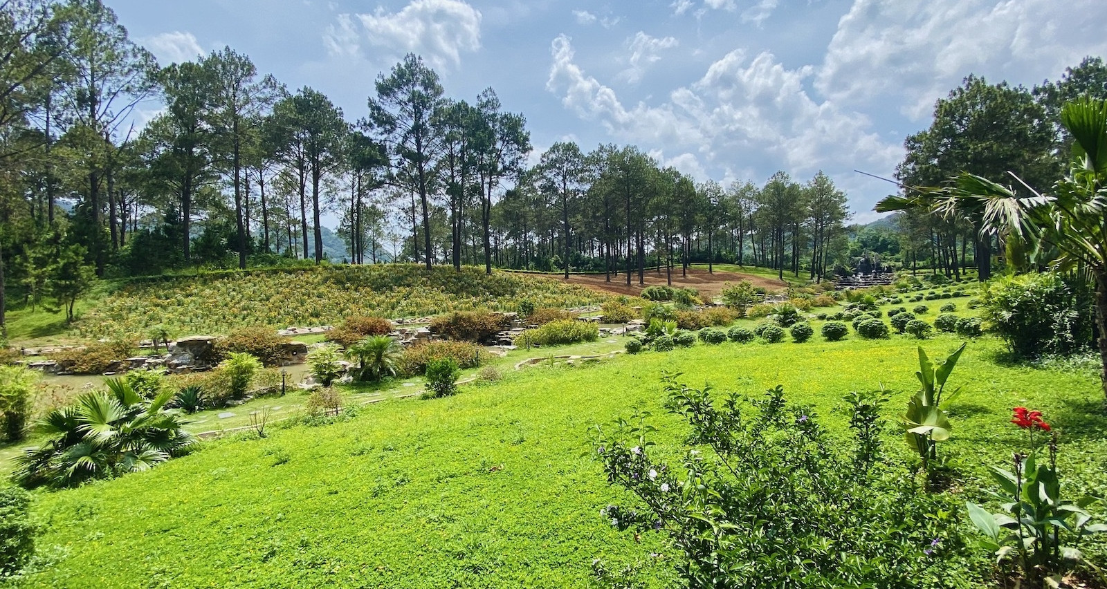 Những lưu ý quan trọng khi làm homestay trên đất nông nghiệp