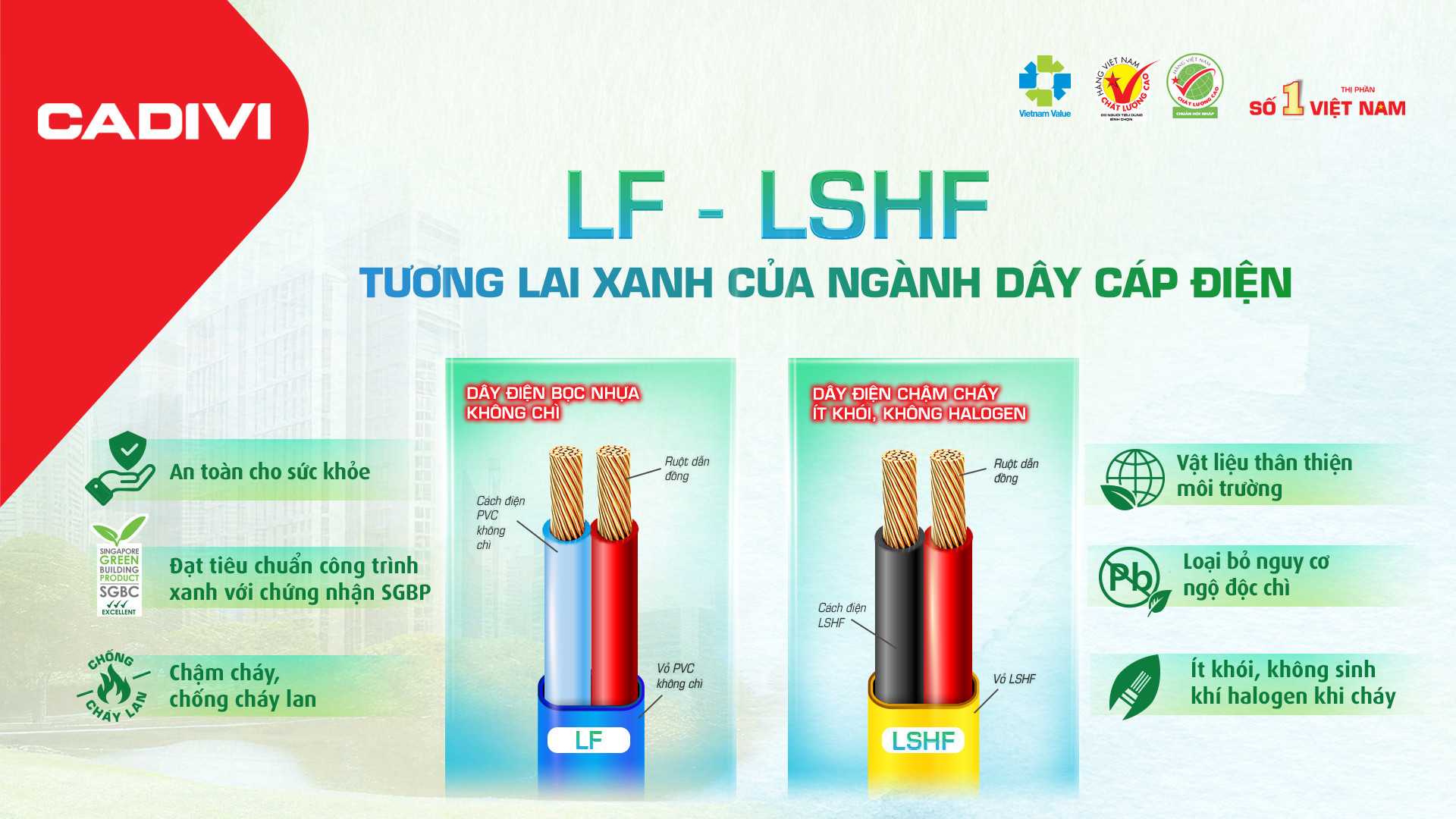 Poster LF LSHF 16 9.jpg