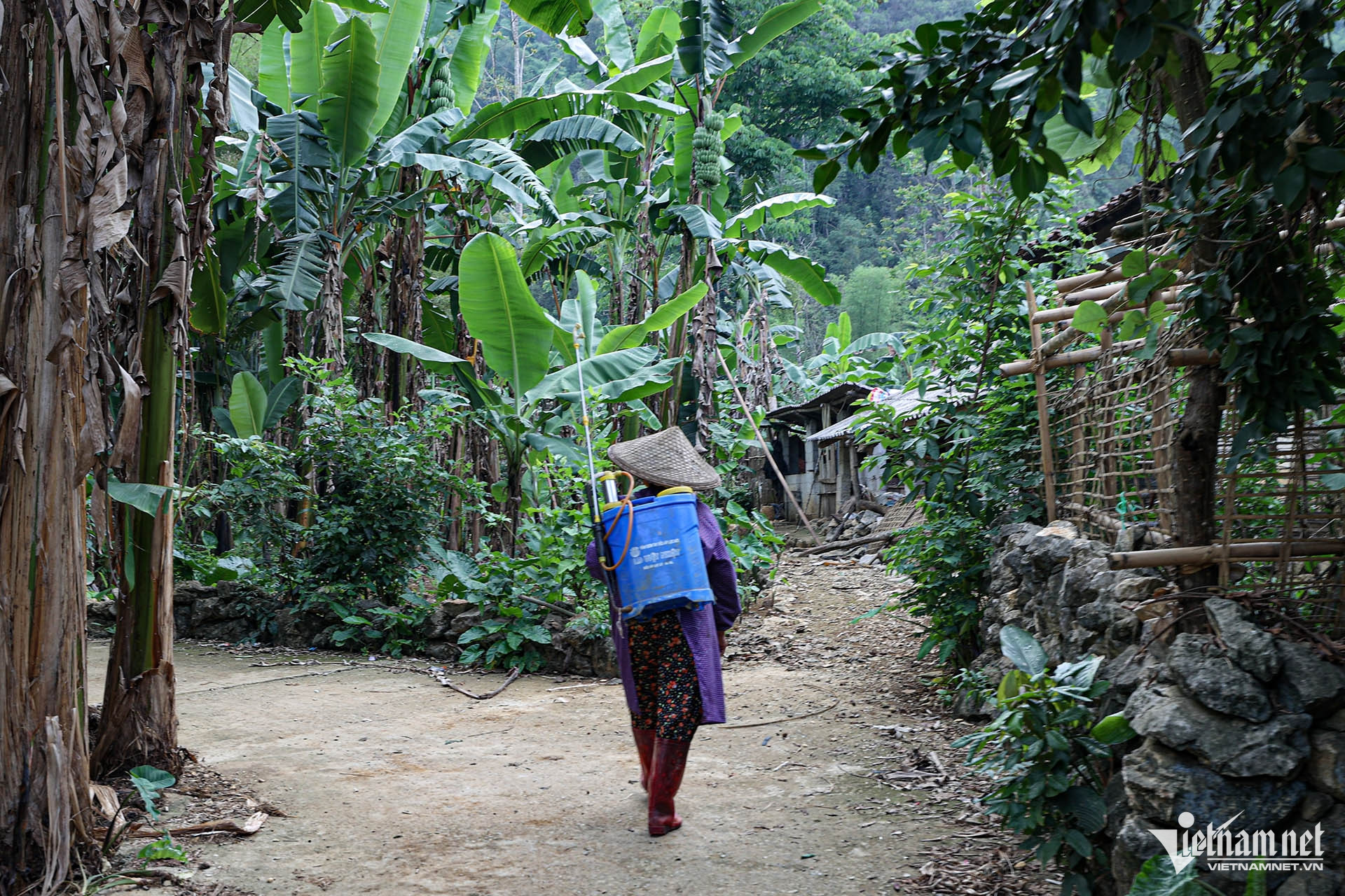 W-Nón lá chúp xà 9.jpg