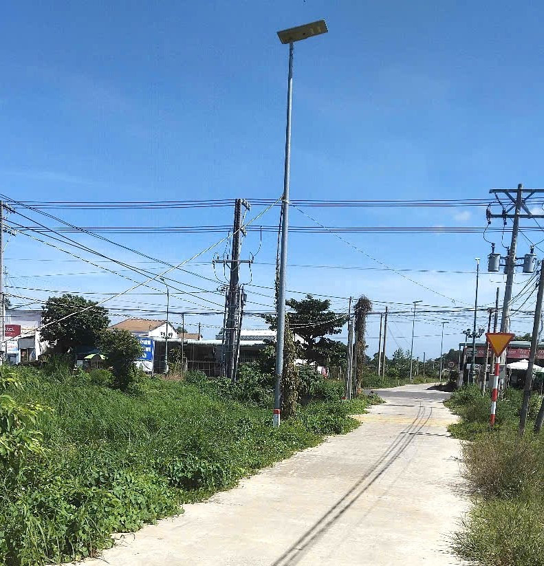 C Hinh TN03C (1).jpg