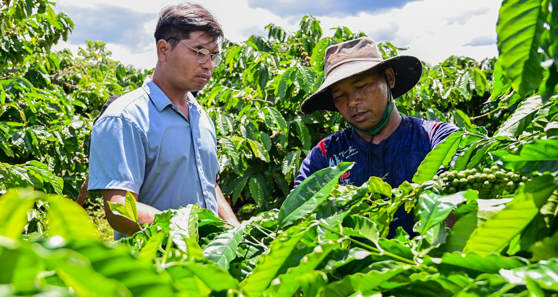 Chỉ mất 6 tháng, cà phê Việt đã làm được điều chưa từng có