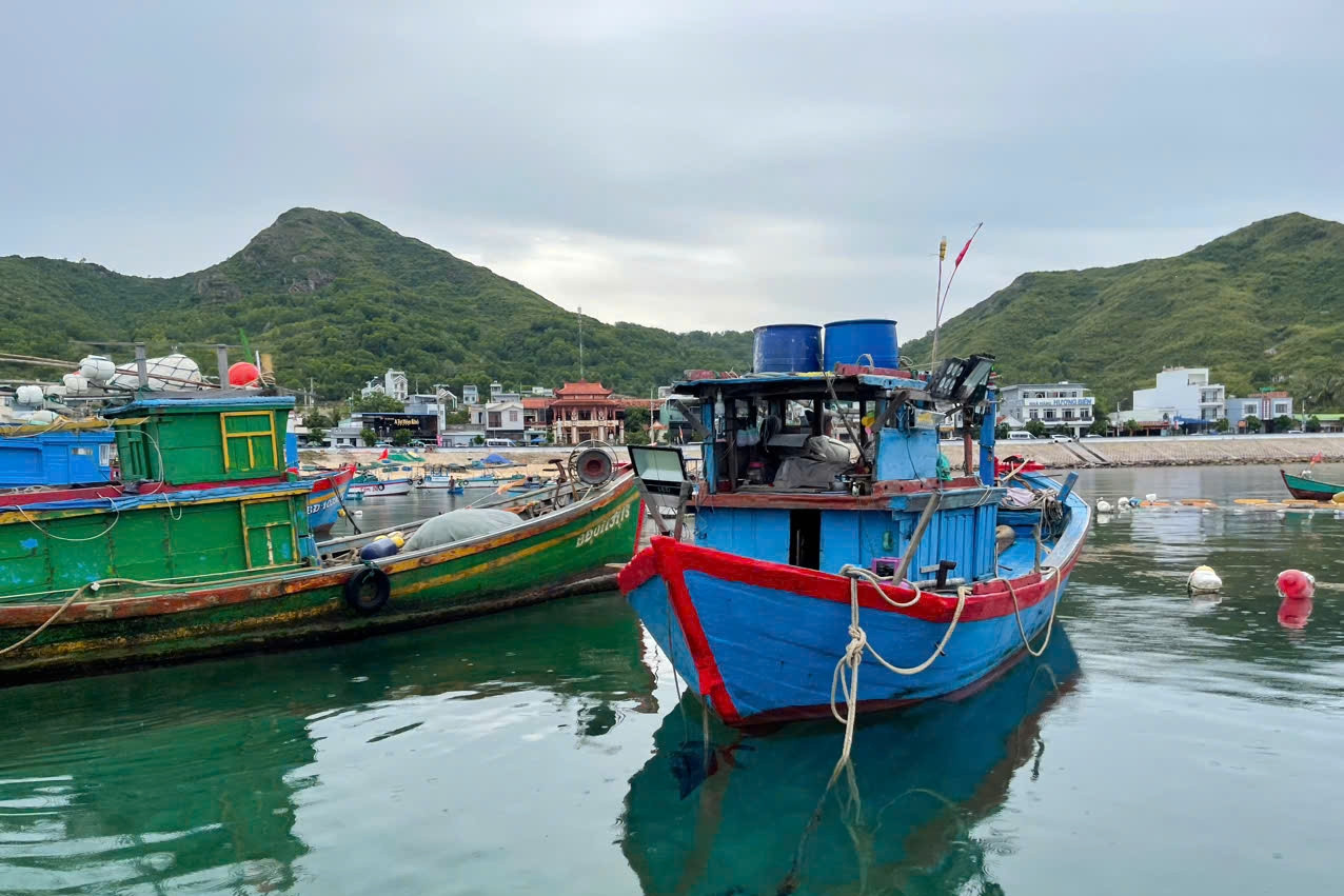 Kiên Giang: Nhiều giải pháp nâng cao chất lượng thủy sản