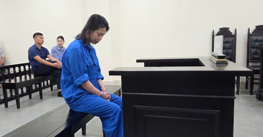 Nữ giám đốc điều hành 9 doanh nghiệp ‘ma’, chiếm đoạt 81 tỷ đồng của 3 ngân hàng