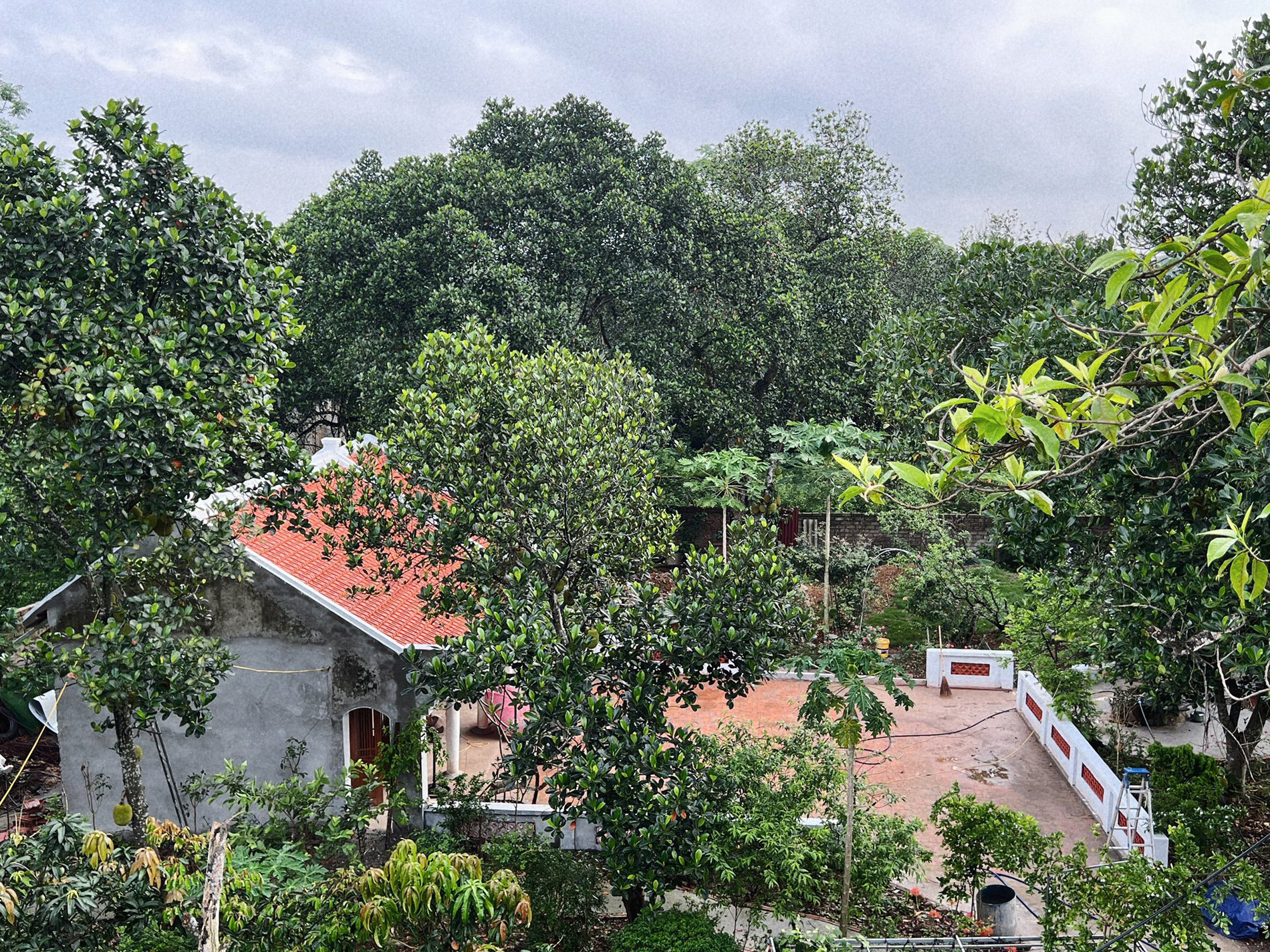 vợ chồng Hà Nội cải tạo nhà cũ thành nơi thờ tự 7.jpg