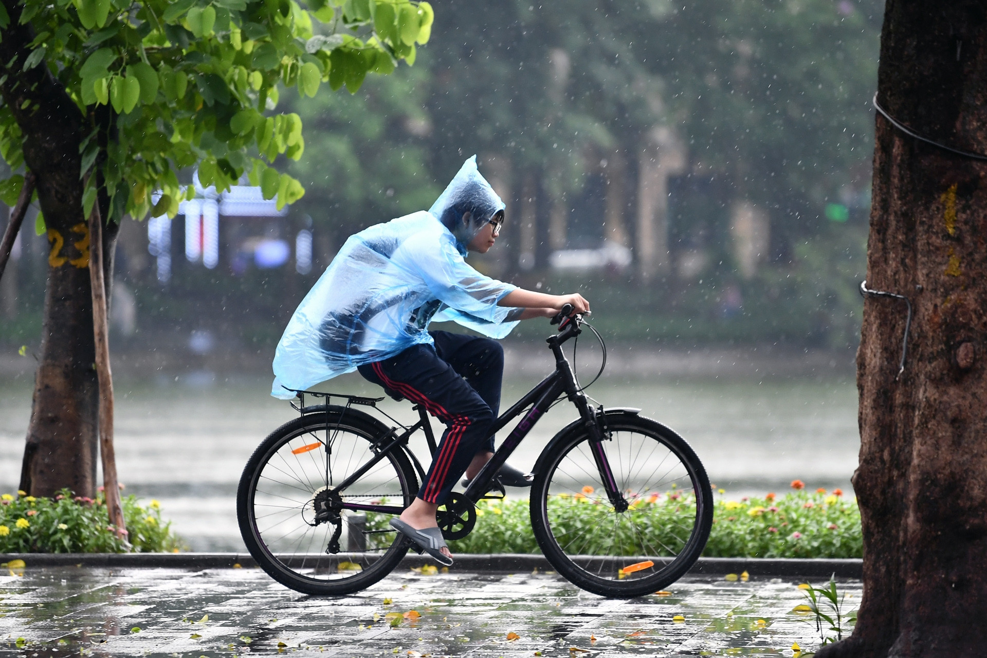 Dự báo thời tiết 4/6/2025: Miền Bắc và Nam Bộ mưa lớn cục bộ