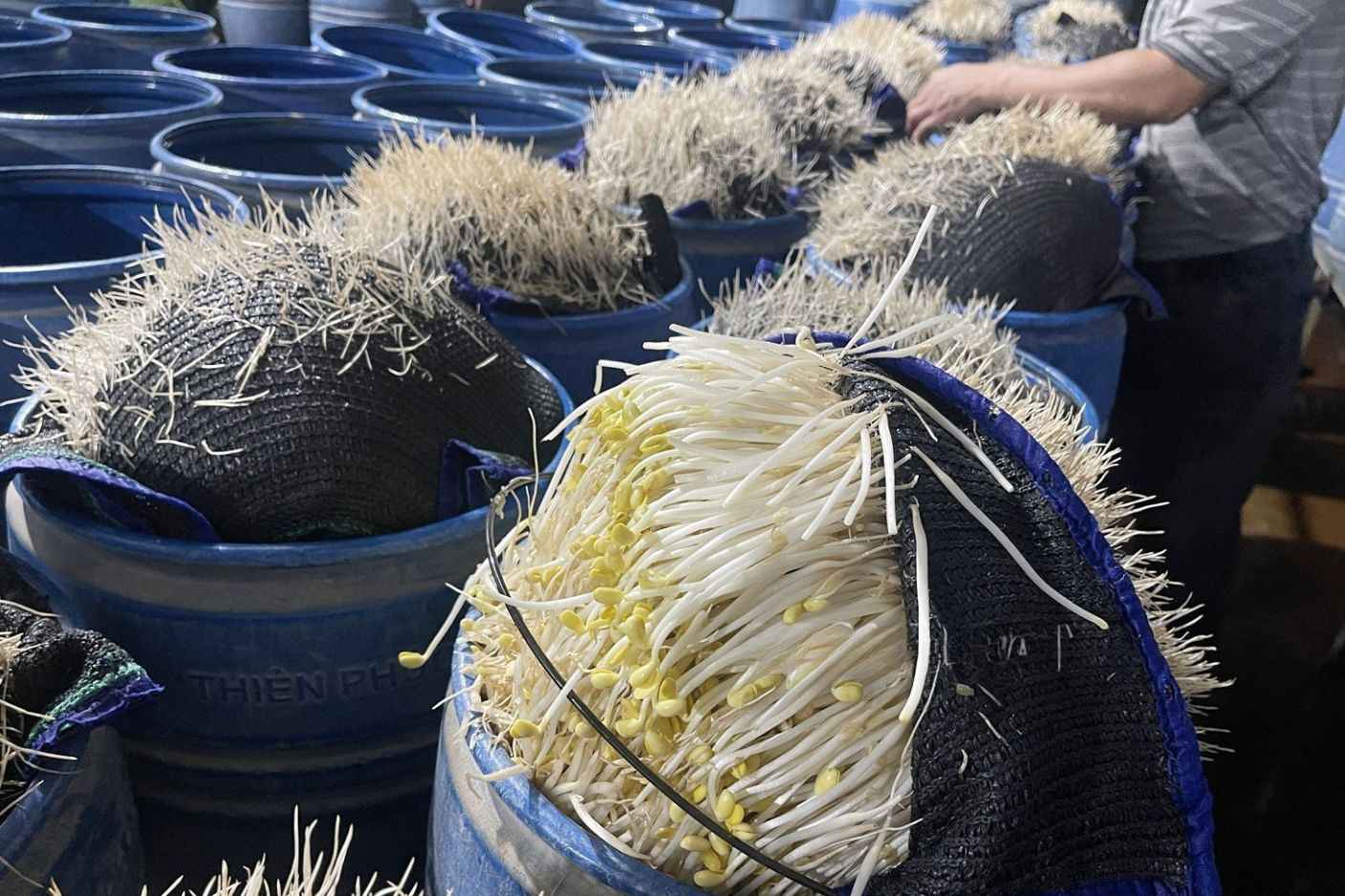 Chủ tịch Quốc hội: Cẩn bổ sung hành vi nghiêm cấm liên quan hóa chất vượt ngưỡng