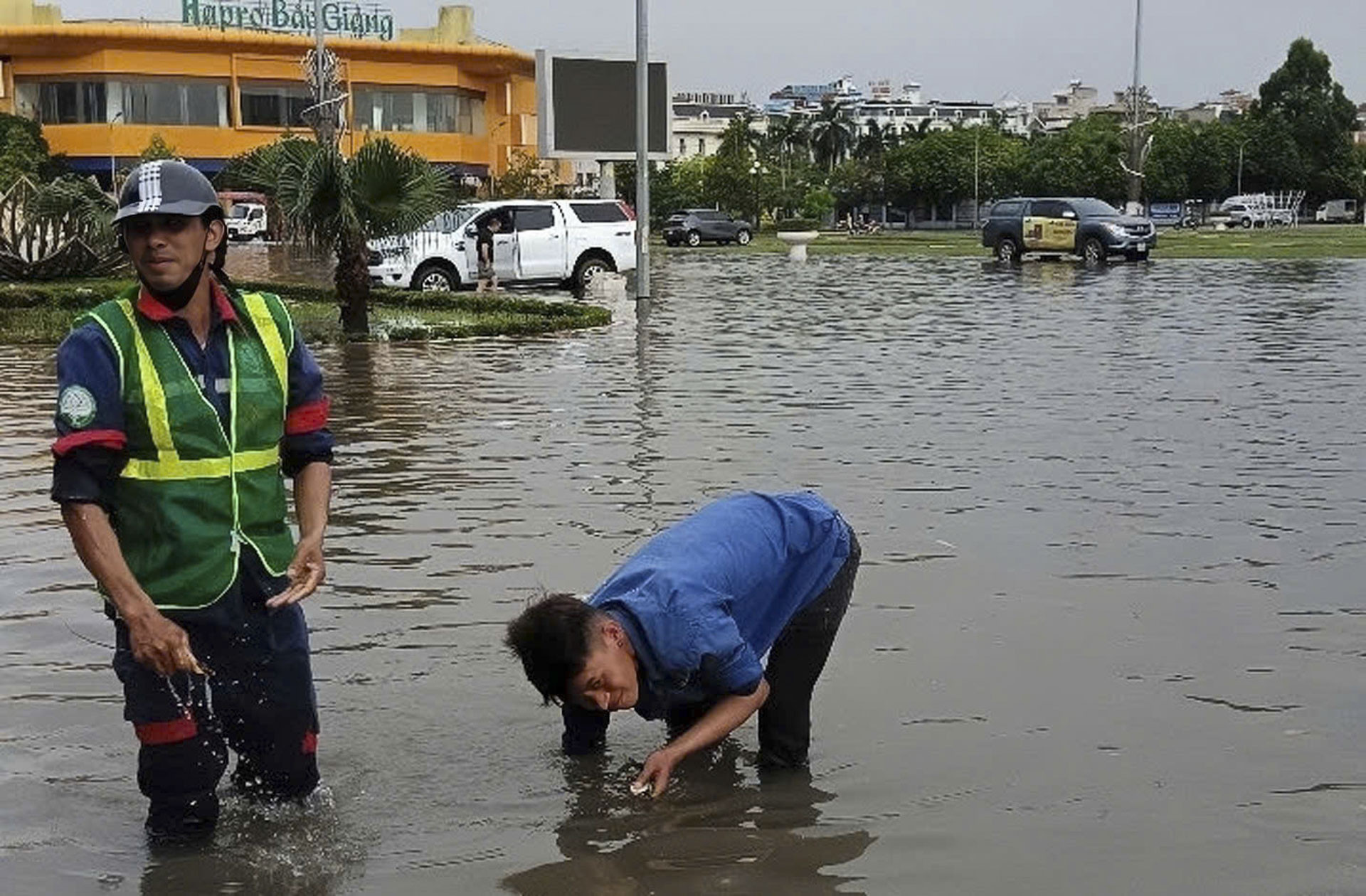 công viên bắc ninh bị sẻ thịt_10.JPG
